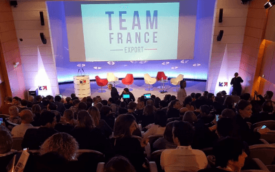 Team France Export (TFE)