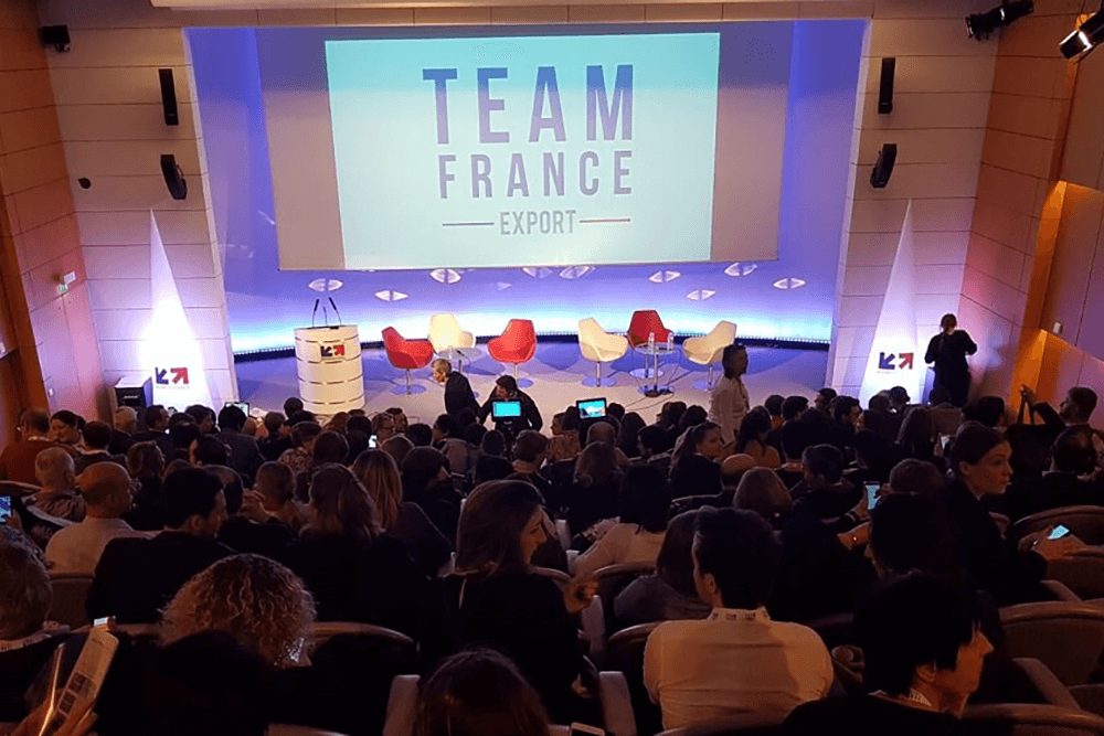 Team France Export (TFE)