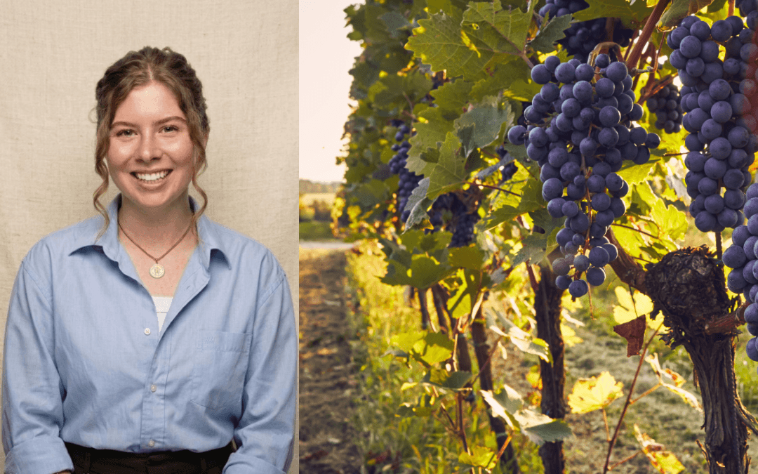 Vendre du vin français en Colombie : l&rsquo;expérience V.I.E de Nina au sein des Grands Chais de France